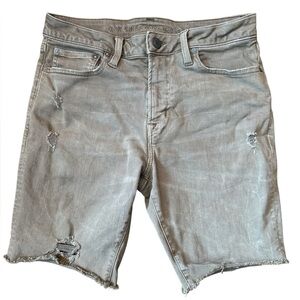 American Eagle Outfitters AE Gray TAN Denim Men Shorts 30